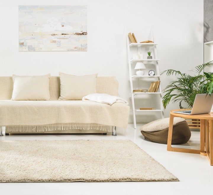 Living room rug | Kastran Karpets